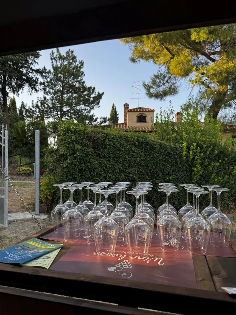 Calici pronti con vista sul borgo