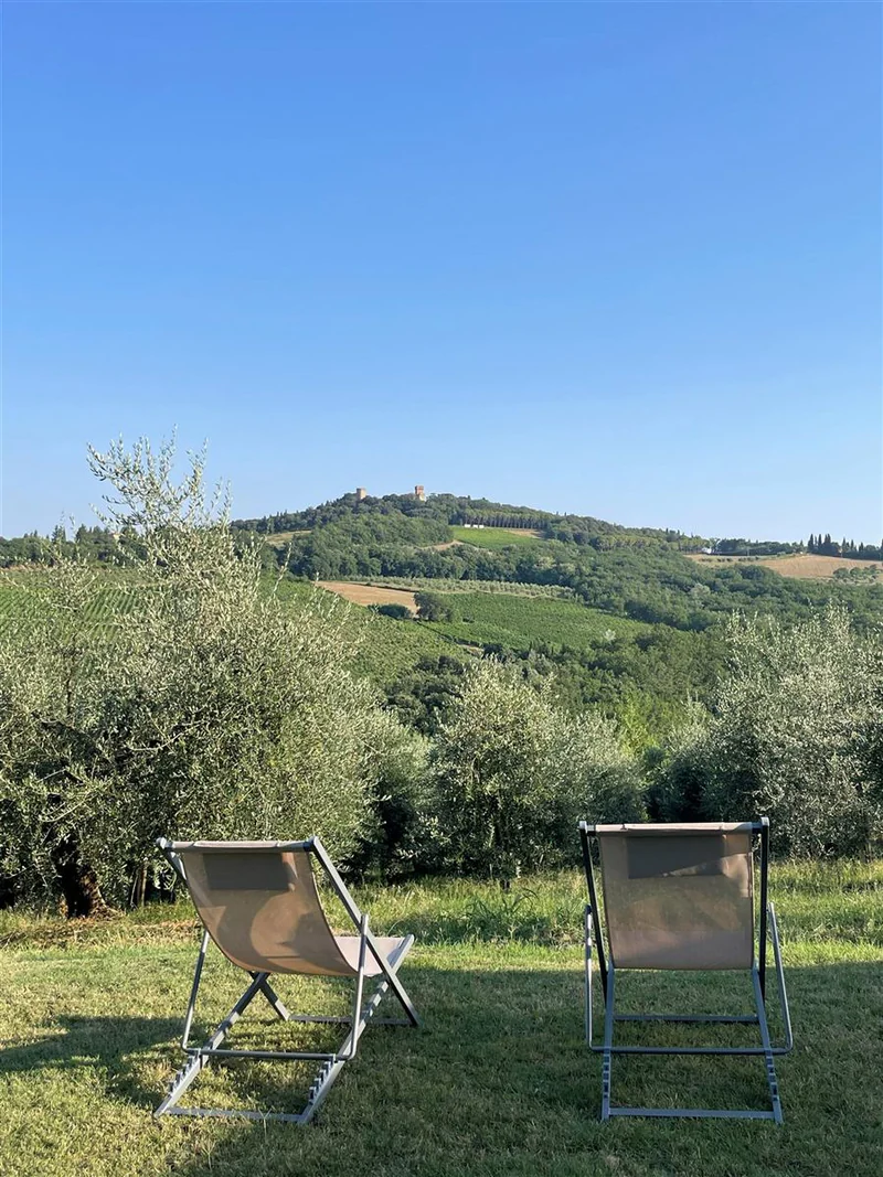 Relax in sdraio tra gli olivi