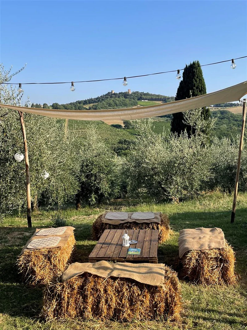 Tavolo di balle di fieno tra gli olivi